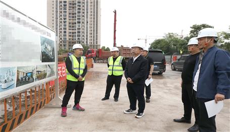 覃振华到重庆在建项目调研指导